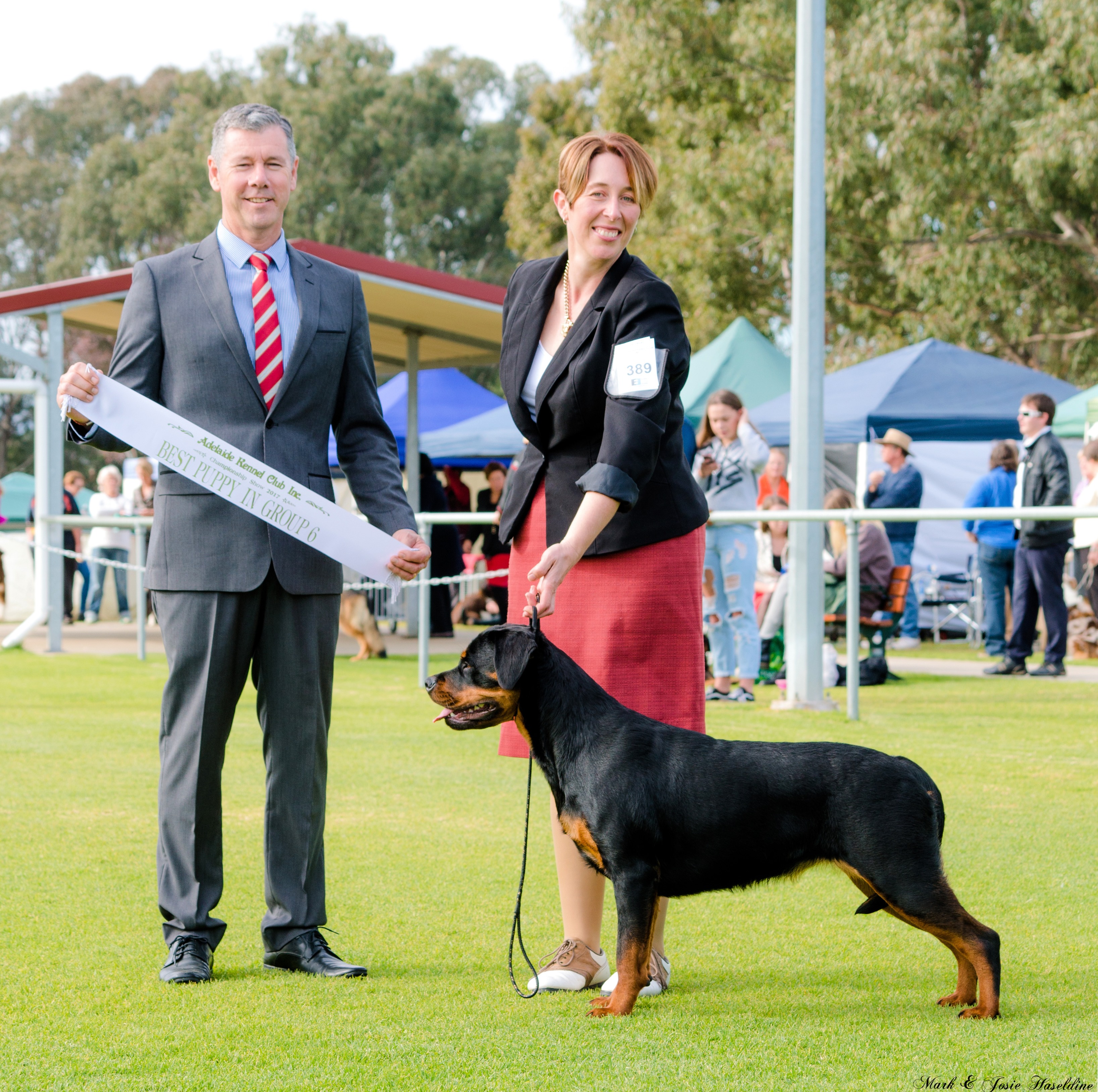 Sollerus Rottweilers, Khingsahl Kicking Up A Storm, Tia, Rottweiler Breeder, Adelaide, South Australia